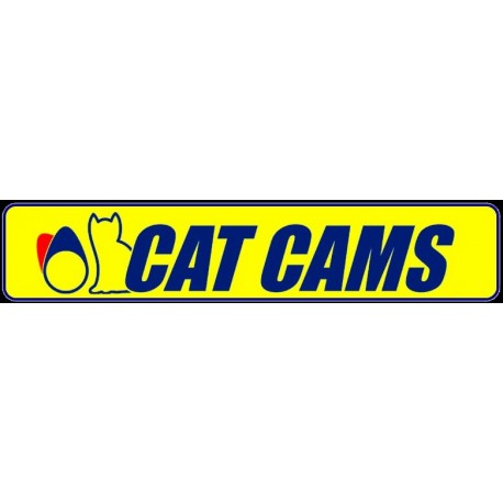 Arbre a Cames Catcams - Peugeot/Citroen XU10J4RS 2.0 16s 306 S16 Xsara VTS