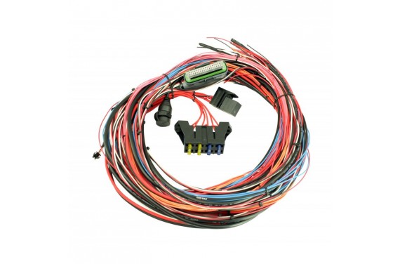 Faisceau SEMI-FINI pour calculateur AEM EMS-4