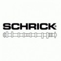 Jeu d'arbre a cames SCHRICK pour moteur 1.8T 20V VAG ( S3, IBIZA cupra, Golf...)
