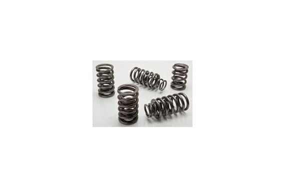 Jeu de ressort double de soupapes renforcé Schrick pour BMW M20B25