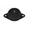 Support moteur Caterham R300 (duratec)