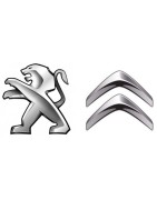 Peugeot Couple court